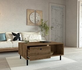 Diivanilaud Asir, 100x43x60 cm, tume pruun price and information | Coffee tables | hansapost.ee