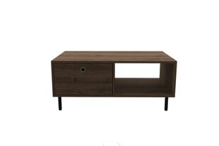 Diivanilaud Asir, 100x43x60 cm, tume pruun price and information | Coffee tables | hansapost.ee