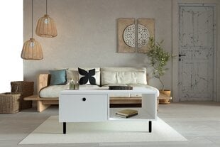 Diivanilaud Asir, 100x43x60 cm, valge price and information | Coffee tables | hansapost.ee