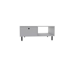 Diivanilaud Asir, 100x43x60 cm, valge price and information | Coffee tables | hansapost.ee