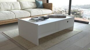 Diivanilaud Asir, 110x35x60 cm, valge price and information | Coffee tables | hansapost.ee