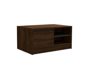 Diivanilaud Asir, 90x45x60 cm, hall/tume pruun price and information | Coffee tables | hansapost.ee