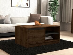 Diivanilaud Asir, 90x45x60 cm, hall/tume pruun price and information | Coffee tables | hansapost.ee