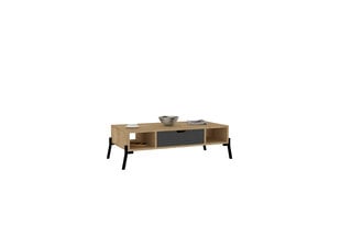 Diivanilaud Asir, 100x28,2x50 cm, beež/hall price and information | Coffee tables | hansapost.ee