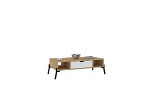 Diivanilaud Asir, 100x28,2x50 cm, beež/valge price and information | Coffee tables | hansapost.ee