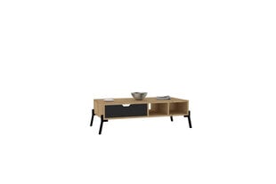 Diivanilaud Asir, 100x28,2x50 cm, helepruun/hall price and information | Coffee tables | hansapost.ee