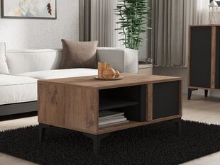 Diivanilaud Asir, 90x45x60 cm, pruun/hall price and information | Coffee tables | hansapost.ee