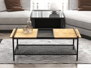 Diivanilaud Asir, 120x45x56 cm, pruun/must price and information | Coffee tables | hansapost.ee