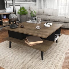 Diivanilaud Asir, 89x89x44 cm, pruun/must price and information | Coffee tables | hansapost.ee