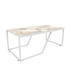 Diivanilaud Asir, 120x60x48 cm, valge price and information | Coffee tables | hansapost.ee