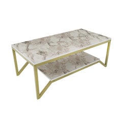 Diivanilaud Asir, 120x60x45,8 cm, kuldne/valge price and information | Coffee tables | hansapost.ee