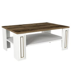 Kohvilaud Asir, 90x38x60cm, valge/pruun price and information | Coffee tables | hansapost.ee