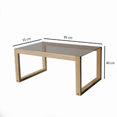 Кофейный столик Kalune Design Via, светло-коричневый цена и информация | Журнальные столики | hansapost.ee