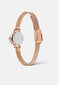 Käekell naistele Daniel Wellington Petite Mini DW00100741 цена и информация | Käekellad naistele | hansapost.ee