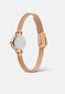 Käekell naistele Daniel Wellington Petite Mini DW00100742 hind ja info | Käekellad naistele | hansapost.ee