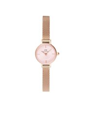 Käekell naistele Daniel Wellington Petite Mini DW00100743 price and information | Käekellad naistele | hansapost.ee