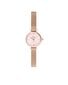 Käekell naistele Daniel Wellington Petite Mini DW00100743 hind ja info | Käekellad naistele | hansapost.ee