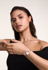 Часы для женщин Daniel Wellington Petite Mini DW00100745 цена и информация | Женские часы | hansapost.ee