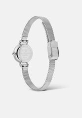 Часы для женщин Daniel Wellington Petite Mini DW00100746 цена и информация | Женские часы | hansapost.ee