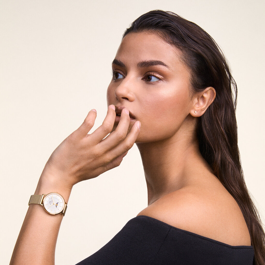 Käekell naistele Daniel Wellington Petite Moonphase DW00100771 цена и информация | Käekellad naistele | hansapost.ee