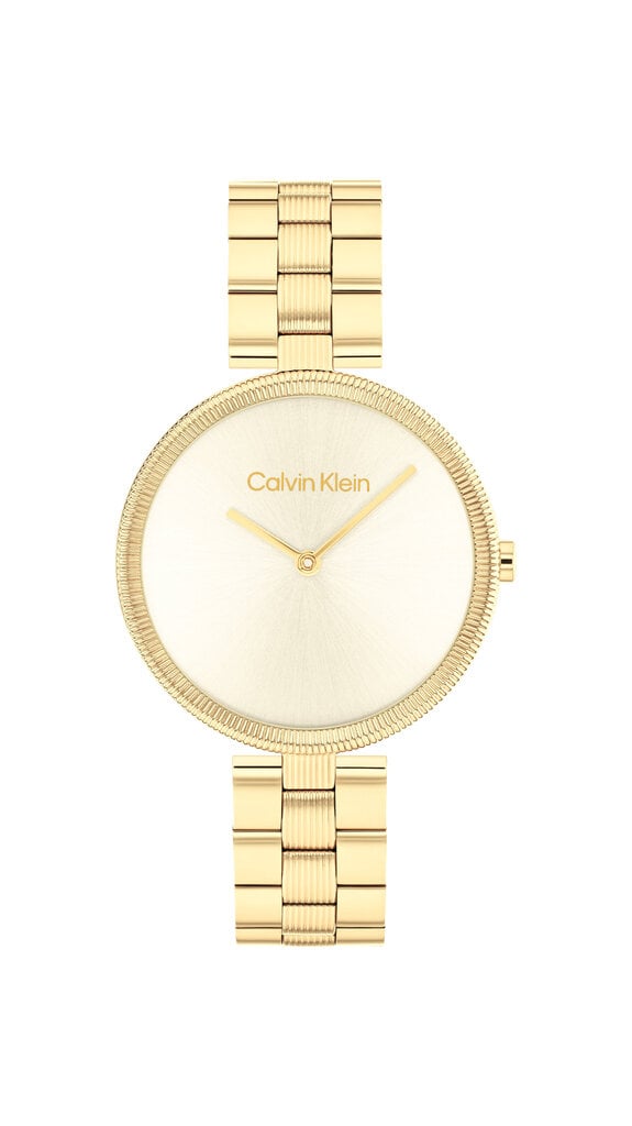 Käekell naistele Calvin Klein Gleam 25100014 цена и информация | Käekellad naistele | hansapost.ee