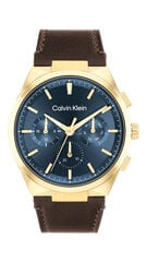 Часы для мужчин Calvin Klein Distinguish 25200445 цена и информация | Мужские часы | hansapost.ee