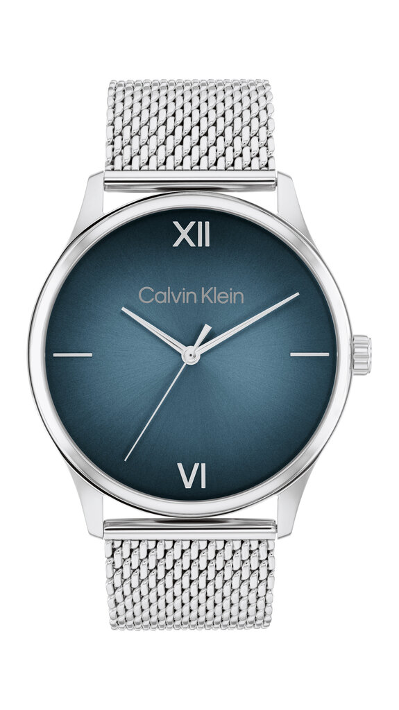 Käekell meestele Calvin Klein Ascend 25200450 цена и информация | Käekellad meestele | hansapost.ee