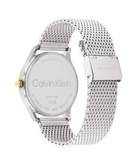 Часы для мужчин Calvin Klein Ascend 25200452 цена и информация | Calvin Klein Мужские аксессуары | hansapost.ee