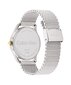 Käekell meestele Calvin Klein Ascend 25200452 цена и информация | Käekellad meestele | hansapost.ee