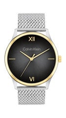 Часы для мужчин Calvin Klein Ascend 25200452 цена и информация | Мужские часы | hansapost.ee