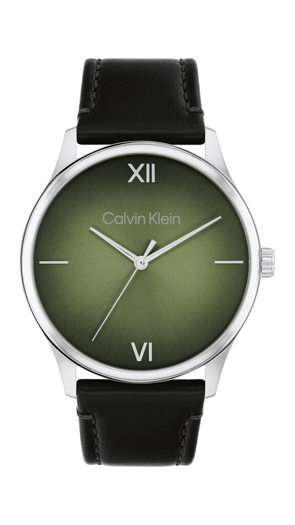 Käekell meestele Calvin Klein Ascend 25200454 цена и информация | Käekellad meestele | hansapost.ee