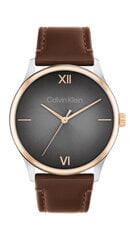 Часы для мужчин Calvin Klein Ascend 25200453 цена и информация | Calvin Klein Мужские аксессуары | hansapost.ee