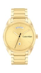 Часы для мужчин Calvin Klein Progress 25200447 цена и информация | Calvin Klein Мужские аксессуары | hansapost.ee