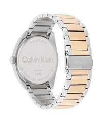 Часы для мужчин Calvin Klein Progress 25200449 цена и информация | Calvin Klein Мужские аксессуары | hansapost.ee