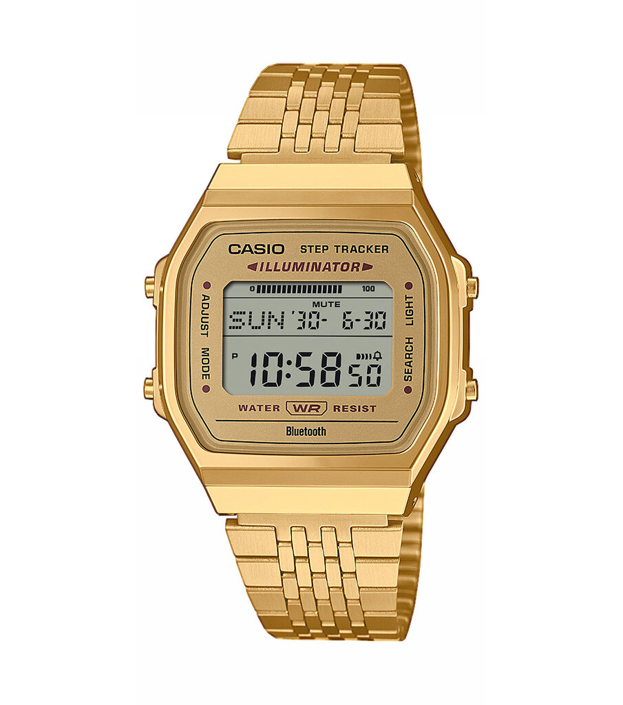 Käekell unisex Casio Vintage ABL-100WEG-9AEF цена и информация | Käekellad meestele | hansapost.ee