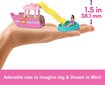 Nukkude komplekt tarvikutega Barbie BarbieLand цена и информация | Mänguasjad tüdrukutele | hansapost.ee