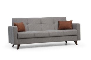 Diivanvoodi Asir Polya, hall price and information | Sofa beds and sofas | hansapost.ee