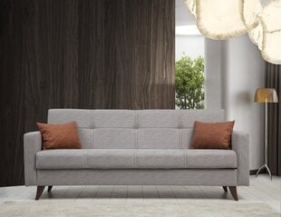 Diivanvoodi Asir Polya, hall price and information | Sofa beds and sofas | hansapost.ee