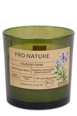 Muller lõhnaküünal Pro Nature Lavender & Rosemary, 1 tk. hind ja info | Küünlad, küünlajalad | hansapost.ee