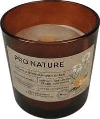 Muller lõhnaküünal Pro Nature Orange & Camomille, 1 tk hind ja info | Küünlad, küünlajalad | hansapost.ee