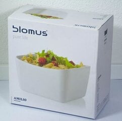 Blomus salatikauss Amilio, 21x21 cm hind ja info | Lauanõud ja nõude komplektid | hansapost.ee