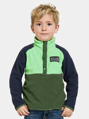 Didriksons laste pusa MONTE HALF BUTTON 4, männiroheline price and information | Sweaters, vests and jackets for boys | hansapost.ee