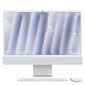 iMac 24” 4.5K Retina Nano-texture Glass, Apple M4 10C CPU, 10C GPU/16GB/256GB SSD/Silver/INT MD3H4ZE/A hind ja info | Lauaarvutid | hansapost.ee