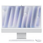 iMac 24” 4.5K Retina, Apple M4 10C CPU, 10C GPU/16GB/256GB SSD/Silver/INT MWUU3ZE/A цена и информация | Lauaarvutid | hansapost.ee