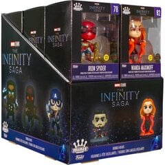 Erinevad Minis kujud Marvel Infinity Saga Exclusive hind ja info | Mänguasjad poistele | hansapost.ee