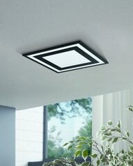 SAVATARILA ceiling light цена и информация | Потолочные светильники | hansapost.ee