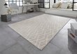 Vaip Elle Decoration Euphoria Rouen, 120x170 cm hind ja info | Vaibad | hansapost.ee