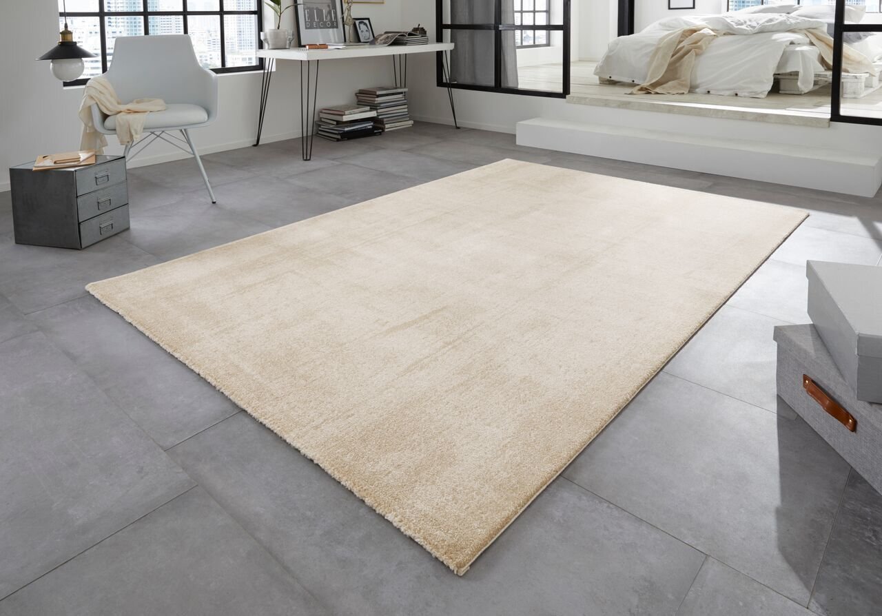 Vaip Elle Decoration Euphoria Cambrai, 160x230 cm hind ja info | Vaibad | hansapost.ee