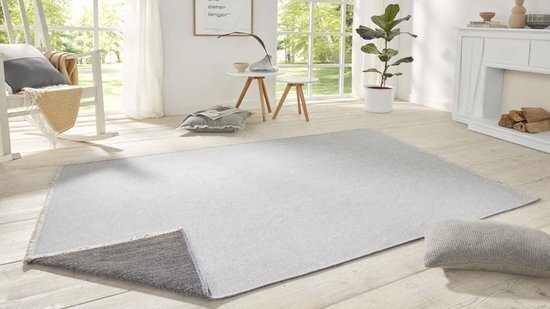 Kahepoolne vaip Hanse Home Duo 200x290 cm hind ja info | Vaibad | hansapost.ee