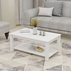 Kohvilaud Asir Larissa, valge price and information | Coffee tables | hansapost.ee